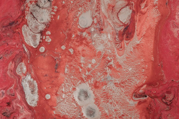 RED CORAL (SEA BAMBOO)